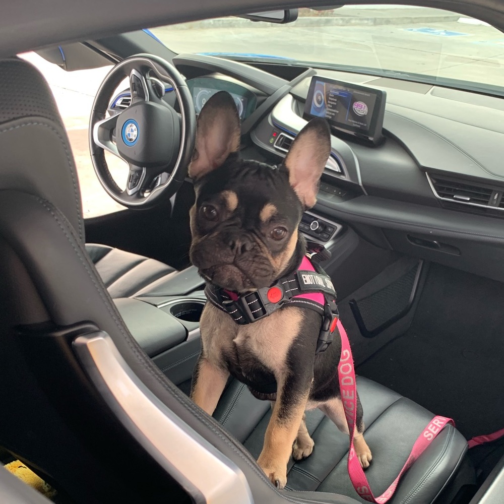 Meet your Posher, Catherine